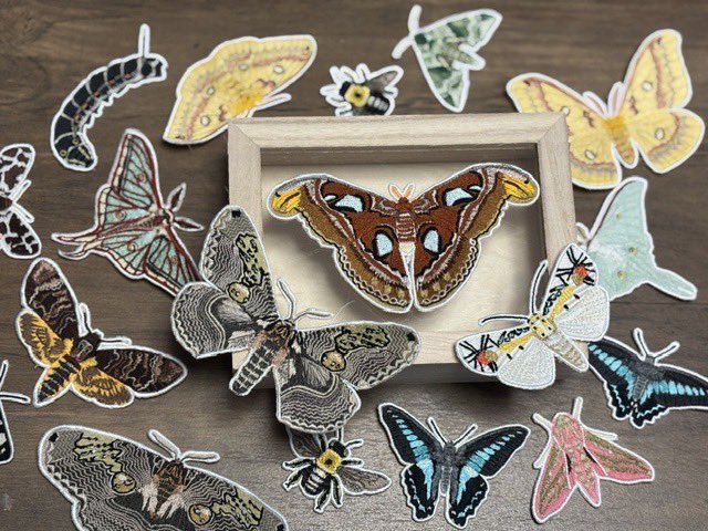 INSECTARIA -インセクタリア- tweet media