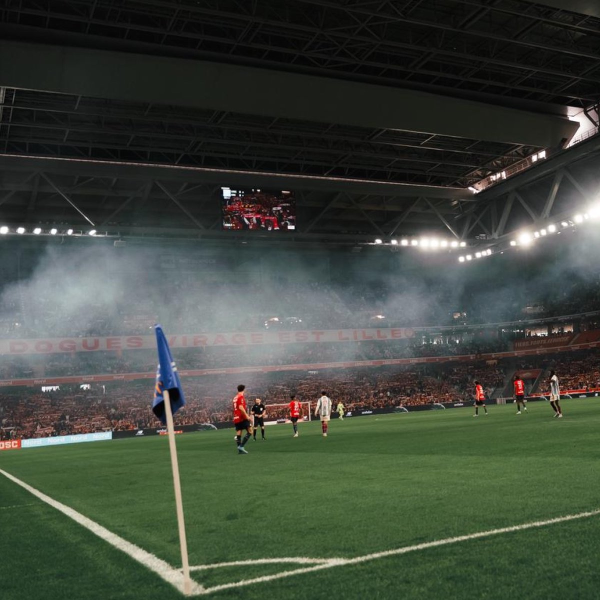 LOSC tweet media