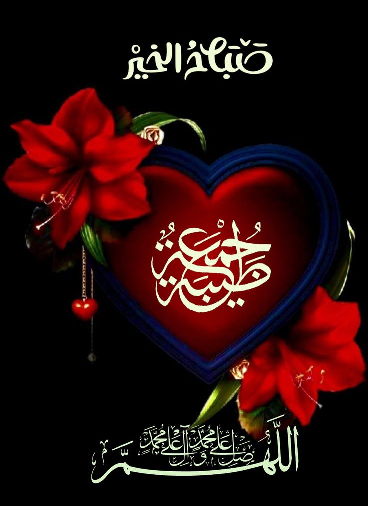 🌹نورا🌹 tweet media