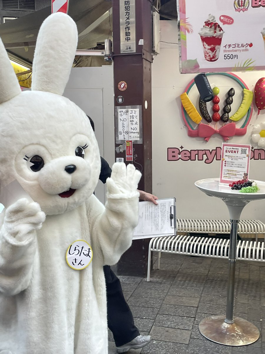 maaride01234's tweet photo. 上野で用事済ませてたら前からうさぎ歩いてきてびっくりした…
手振り返してくれて嬉しかった😭

 #見つけて櫻坂うさぎ https://t.co/Ze4fNr3Jz7