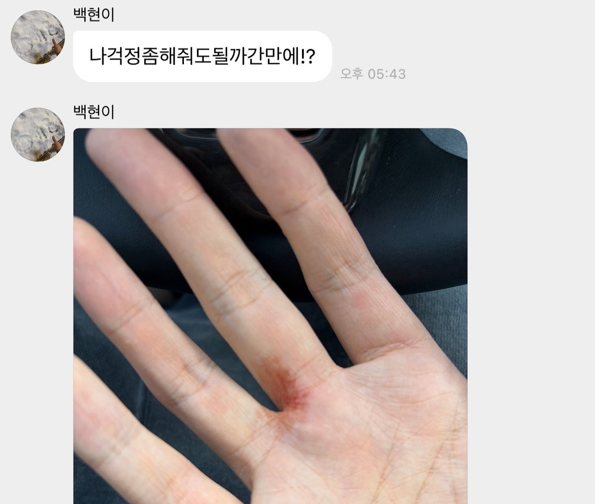 먼지단🐾 tweet media