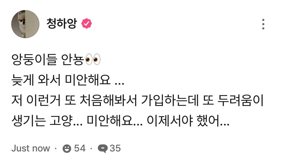 CHUNGHA GLOBAL FAN ACCOUNT tweet media