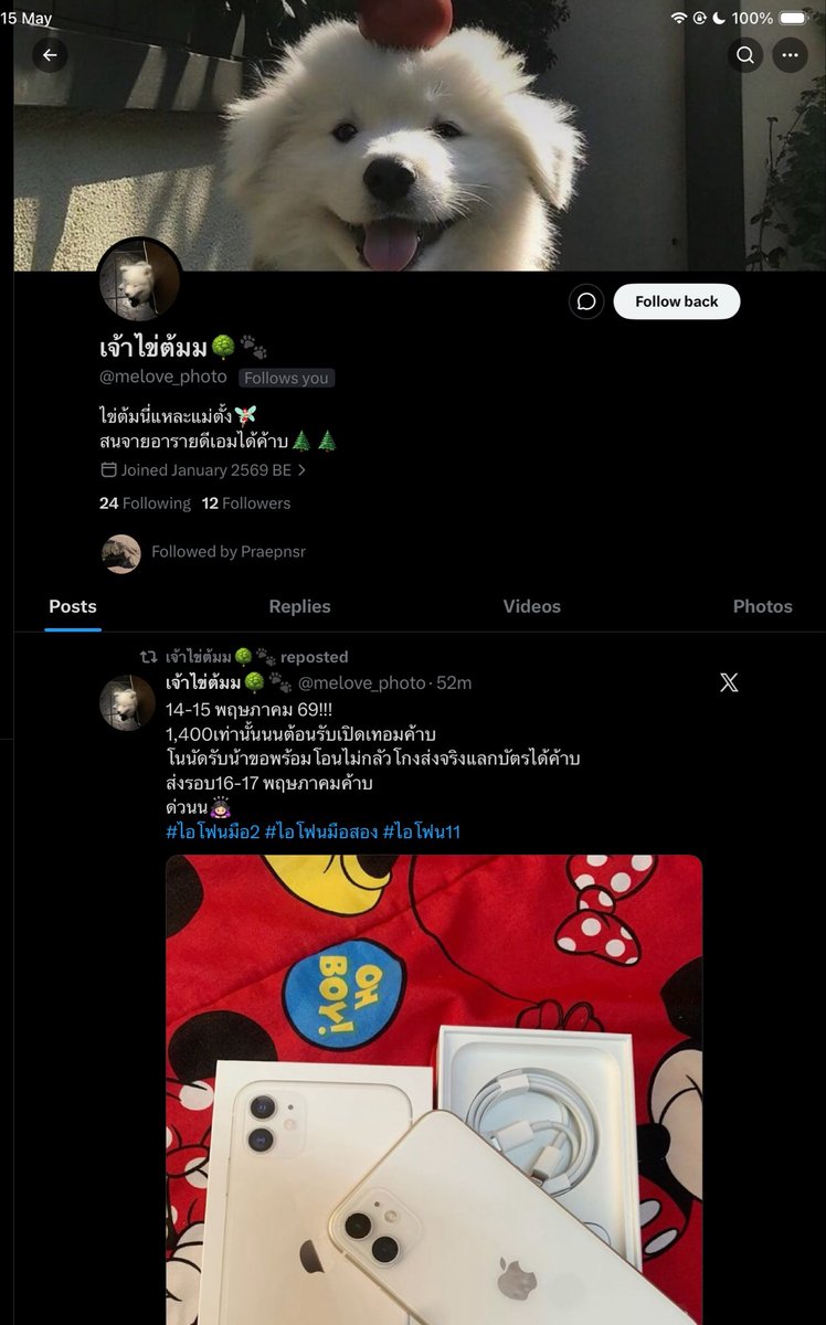 💞 tweet media