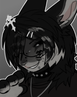 Harleyy | 🐇🐇🐇 tweet media