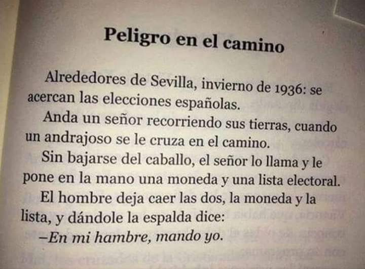Maria Angeles/❤🏳️‍🌈🇵🇸 tweet media