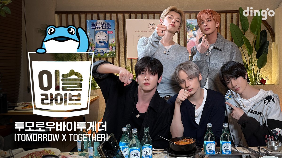 dingo(딩고) tweet media