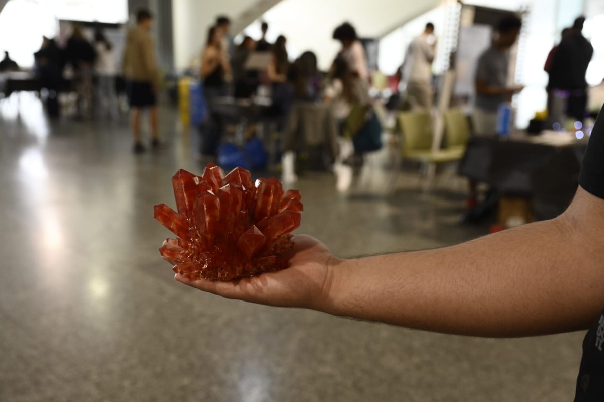 Ciudad Artes Ciencia tweet media