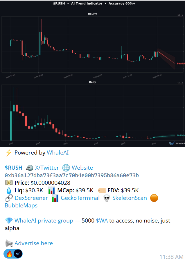 WhaleAI 🐳 tweet media