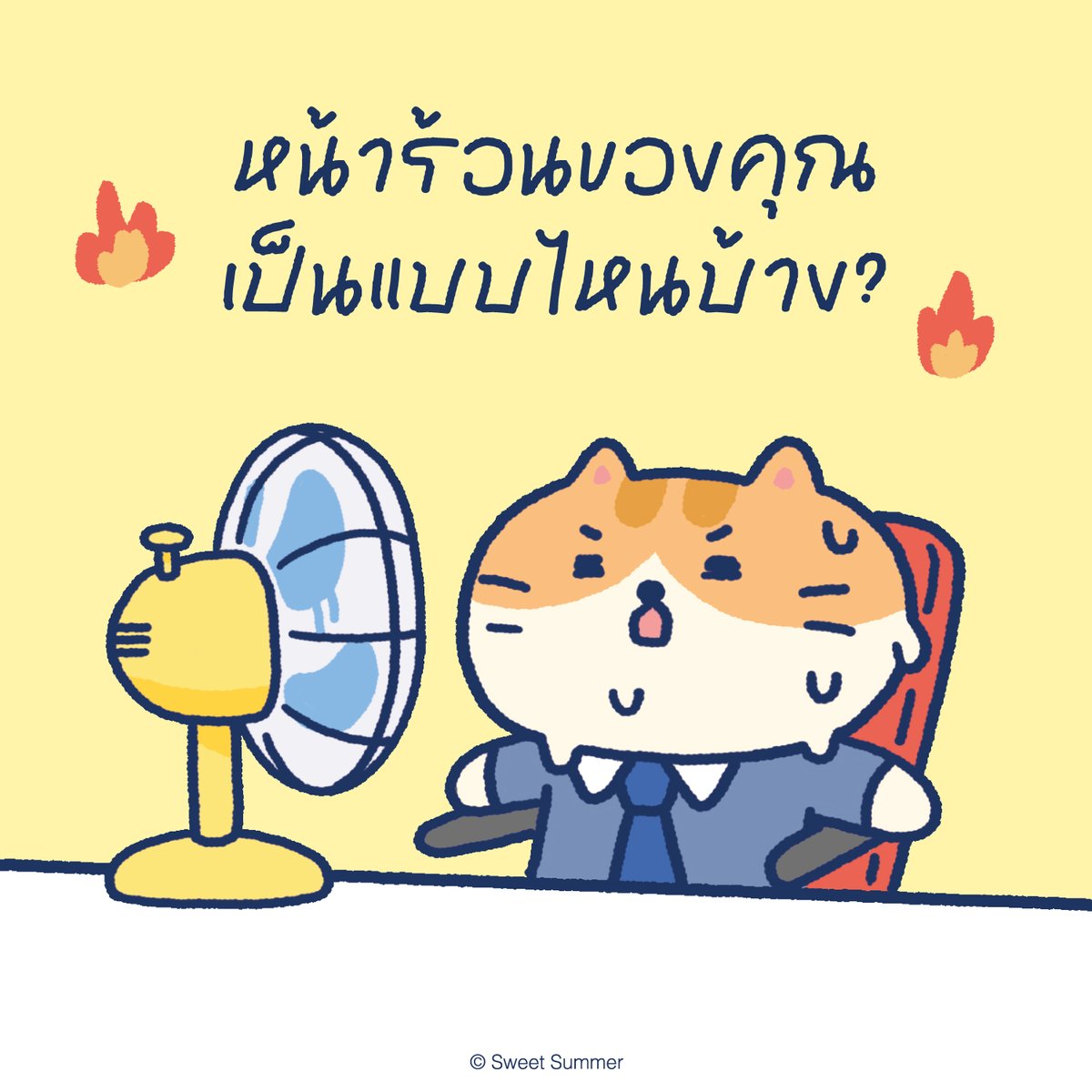 Cat Company tweet media