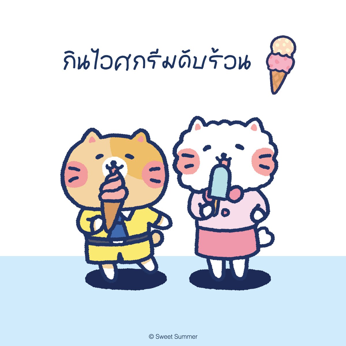 Cat Company tweet media