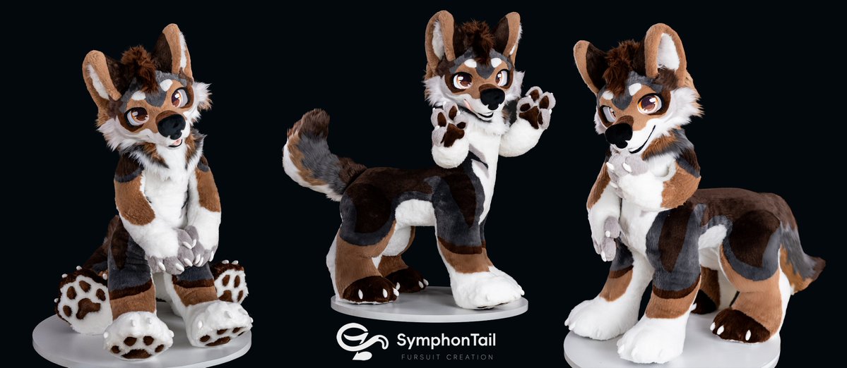 SymphonTail tweet media