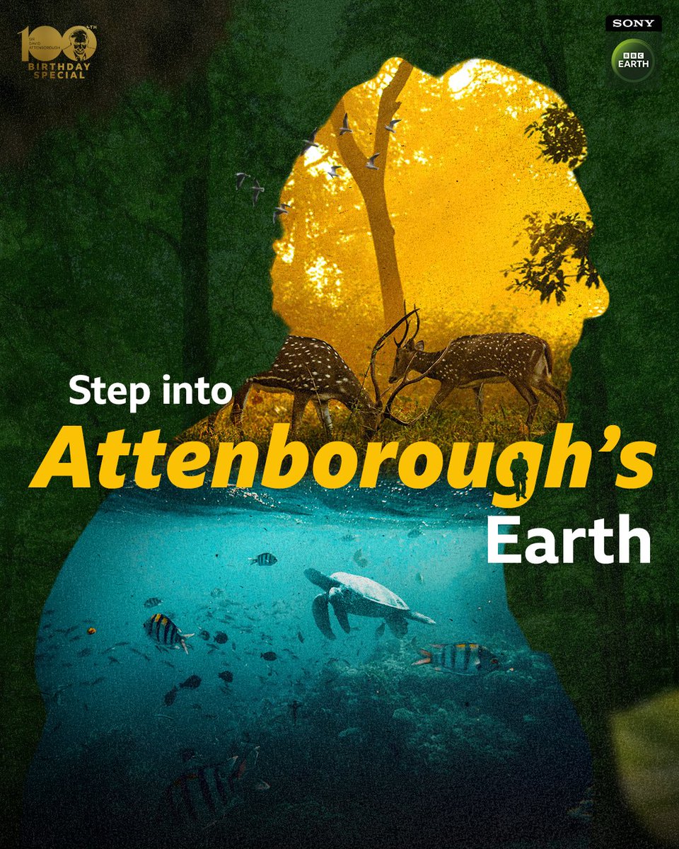 Sony BBC Earth tweet media