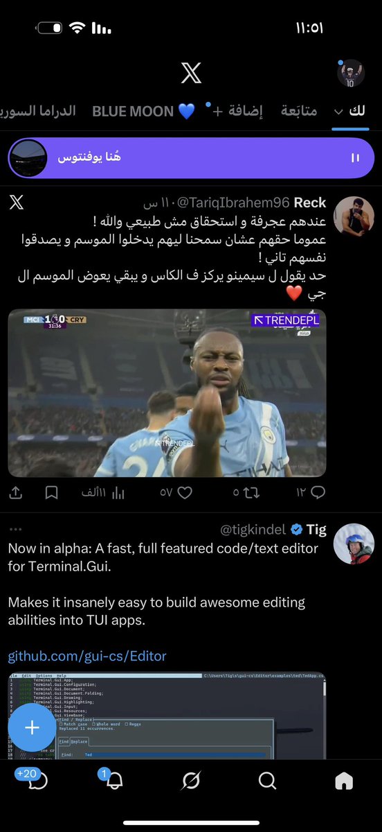 The translator tweet media