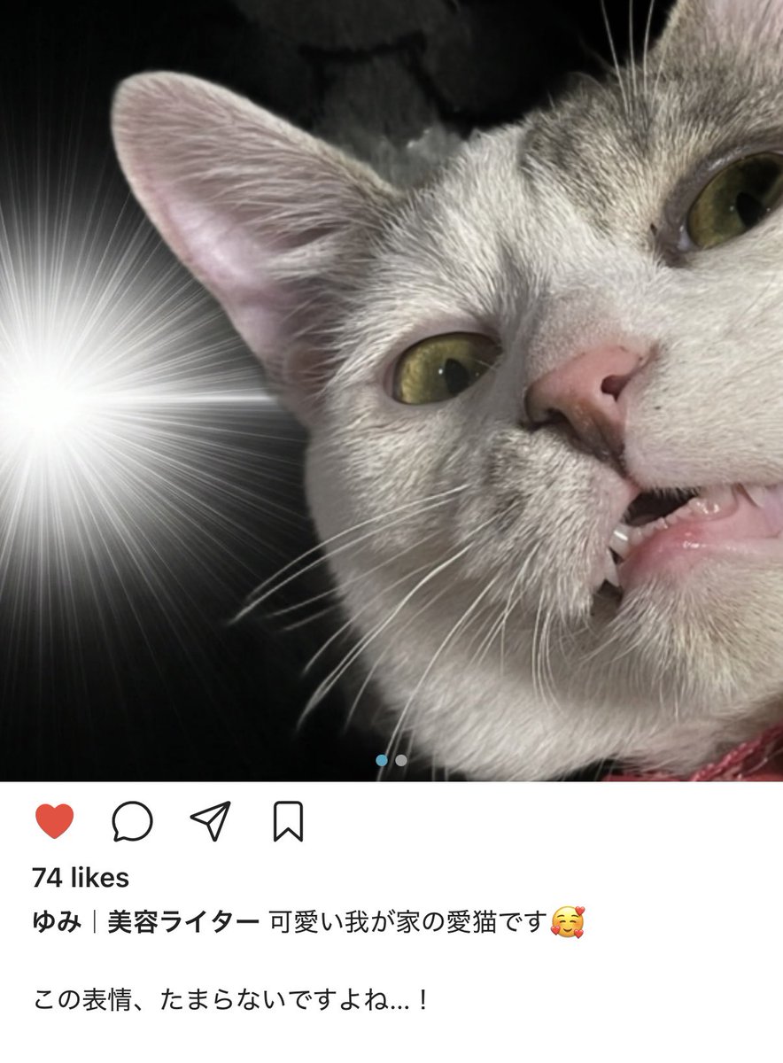 mnst_ts's tweet photo. 「カッテニ」は
投稿文・ハッシュタグ・台本までAIが自動生成✨
複数SNSへ一括予約投稿までできて効率的💮

使うほど"自分らしさ"を学習してくれるのも魅力です🤍

毎月約24時間の作業時間削減が目安とのことで、時間に余白が生まれるのも嬉しいポイント🫶🏻

PR @katteni_app_com 
#カッテニ https://t.co/GaSfAKauqV