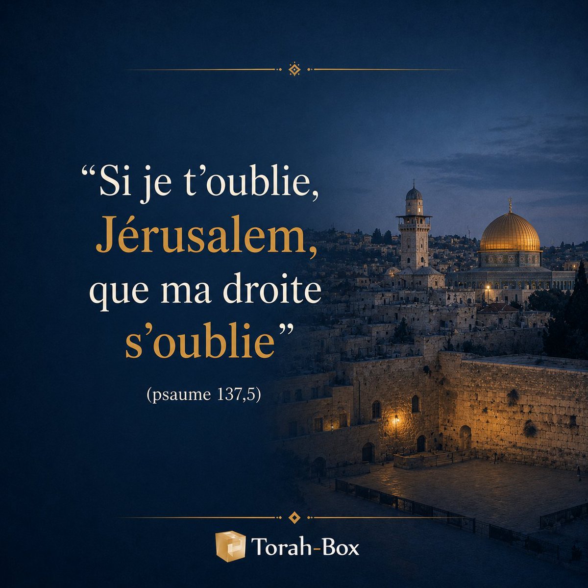 Torah-Box tweet media