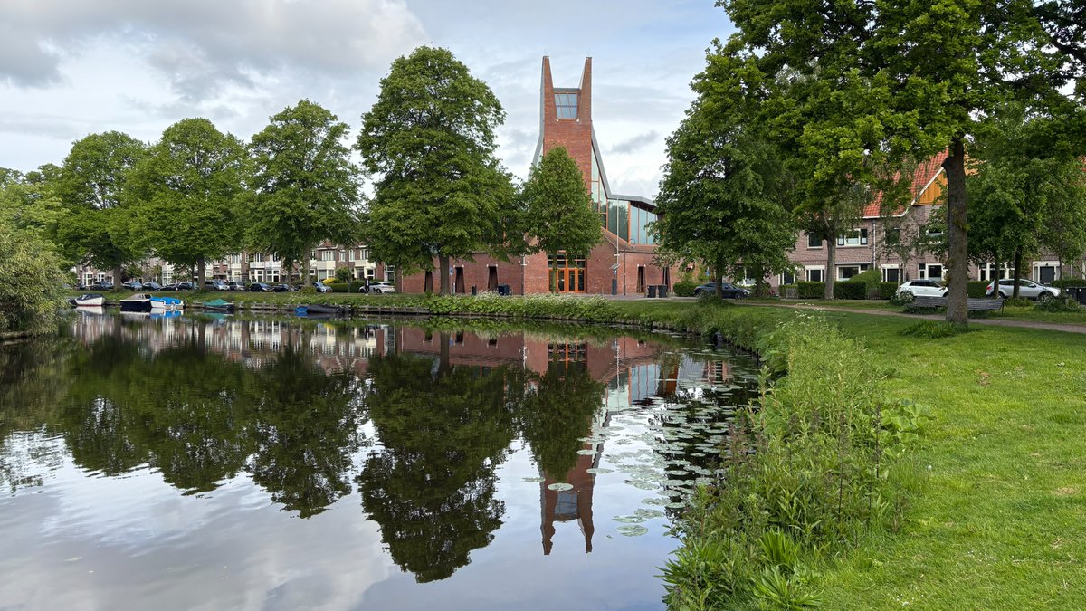 haarlem tweet media