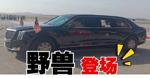 凌波 tweet media