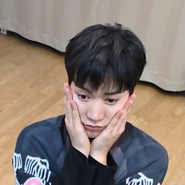 __도저 tweet media