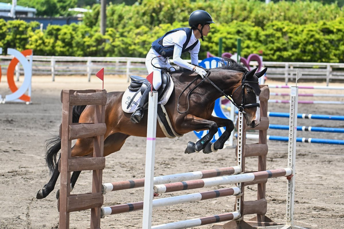 ocavccom's tweet photo. 2026年５月８～１０日
千葉県馬術大会part１ https://t.co/E7IbLVbk6k
