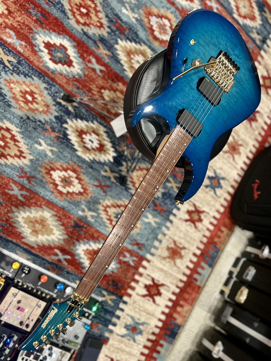 my new gear FERNANDES FGZ-CUSTOM (型番不明) GWにレジ袋断って