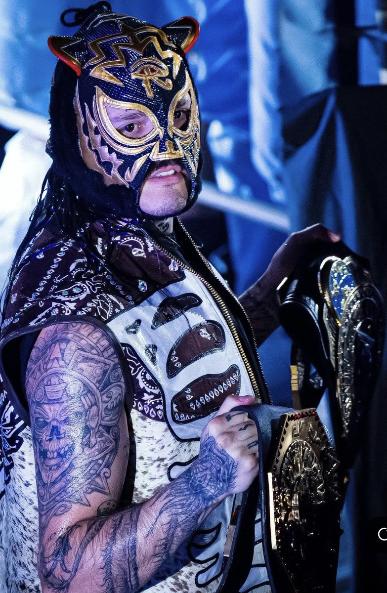 dommysterio fan tweet media