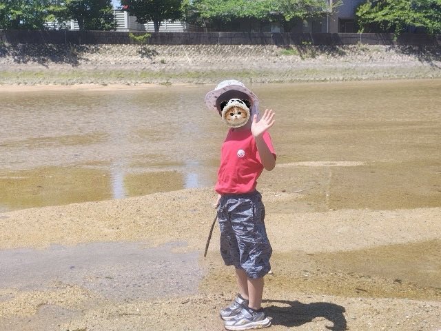 Ichigomoon1315's tweet photo. むーんちゃん6歳のお誕生日おめでとう🎂

＃magpic ＃マグピク ＃マグピクプラス https://t.co/hUOtPxDu1d