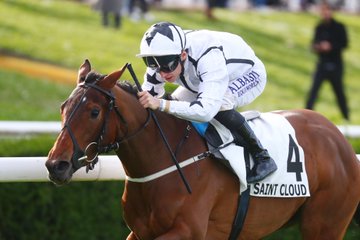 BallylinchStud tweet media