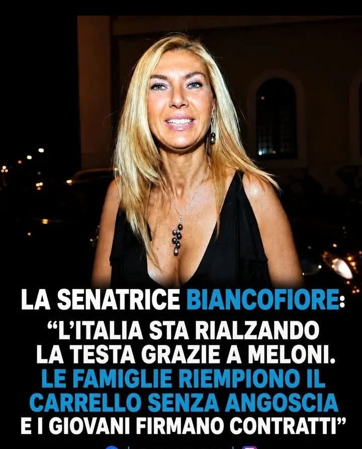The Baseball Furies 2 tweet media