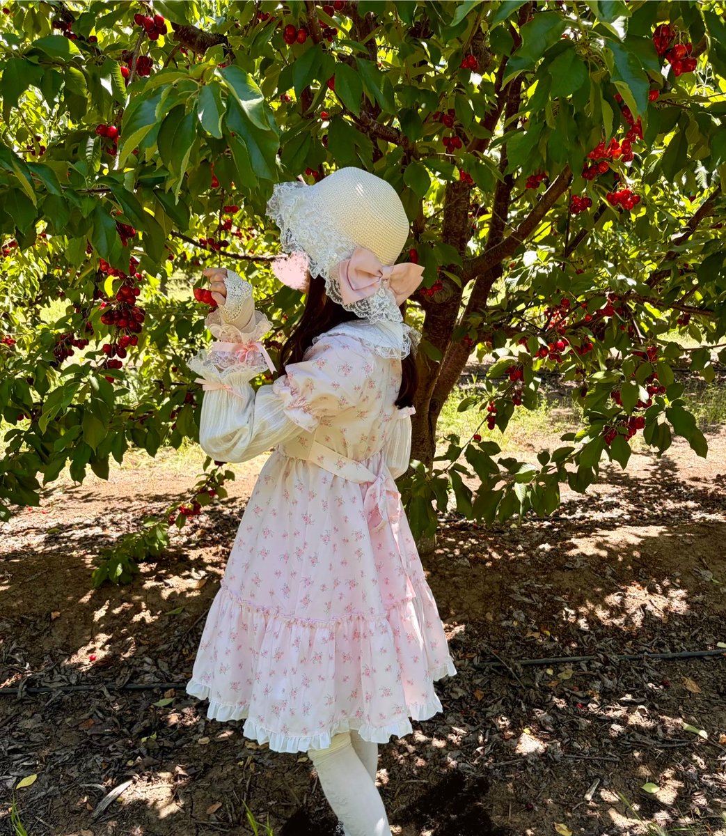 ふう🎀🇺🇸 tweet media