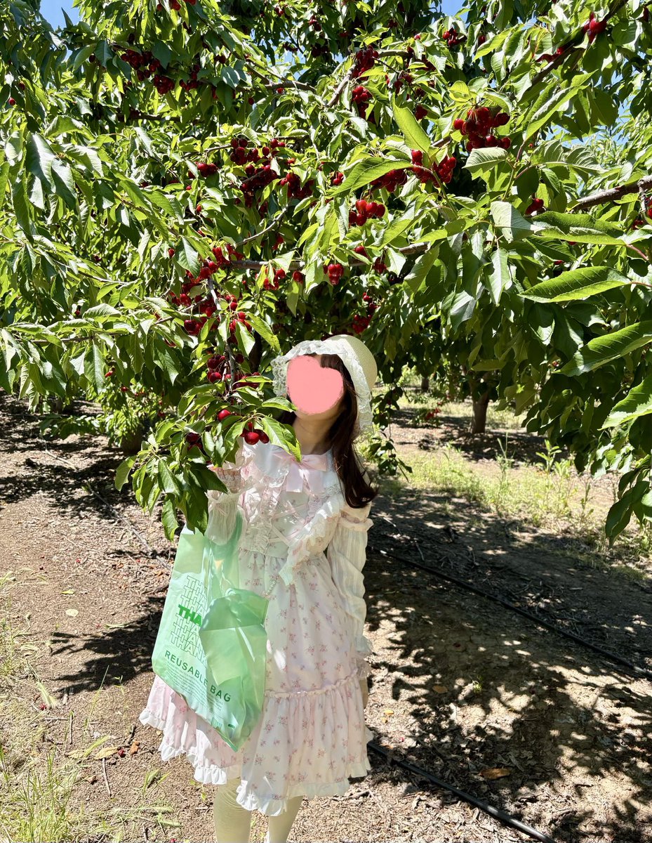 アメリカでチェリー狩りを楽しむロリィタ🍒🇺🇸🎀 #ロリィタ