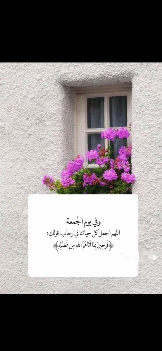 أ.﮼د.﮼محمد﮼حمد﮼السعيد tweet media