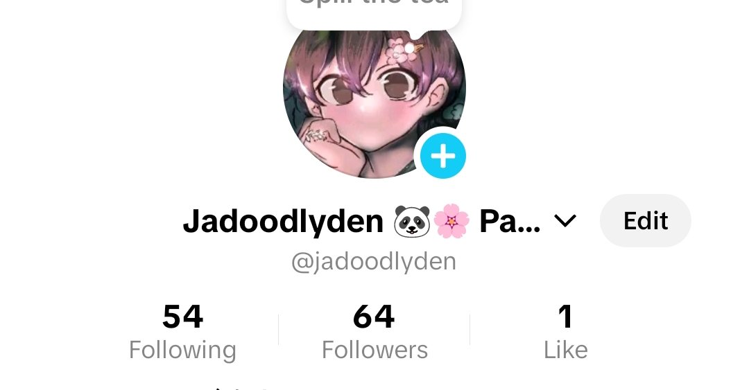 Jadoodlyden 🐼🌸 Magical Panda~ tweet media