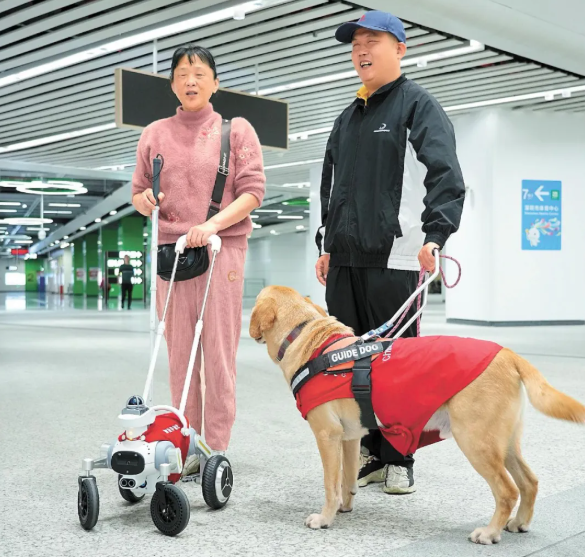 Meta Guangdong tweet media