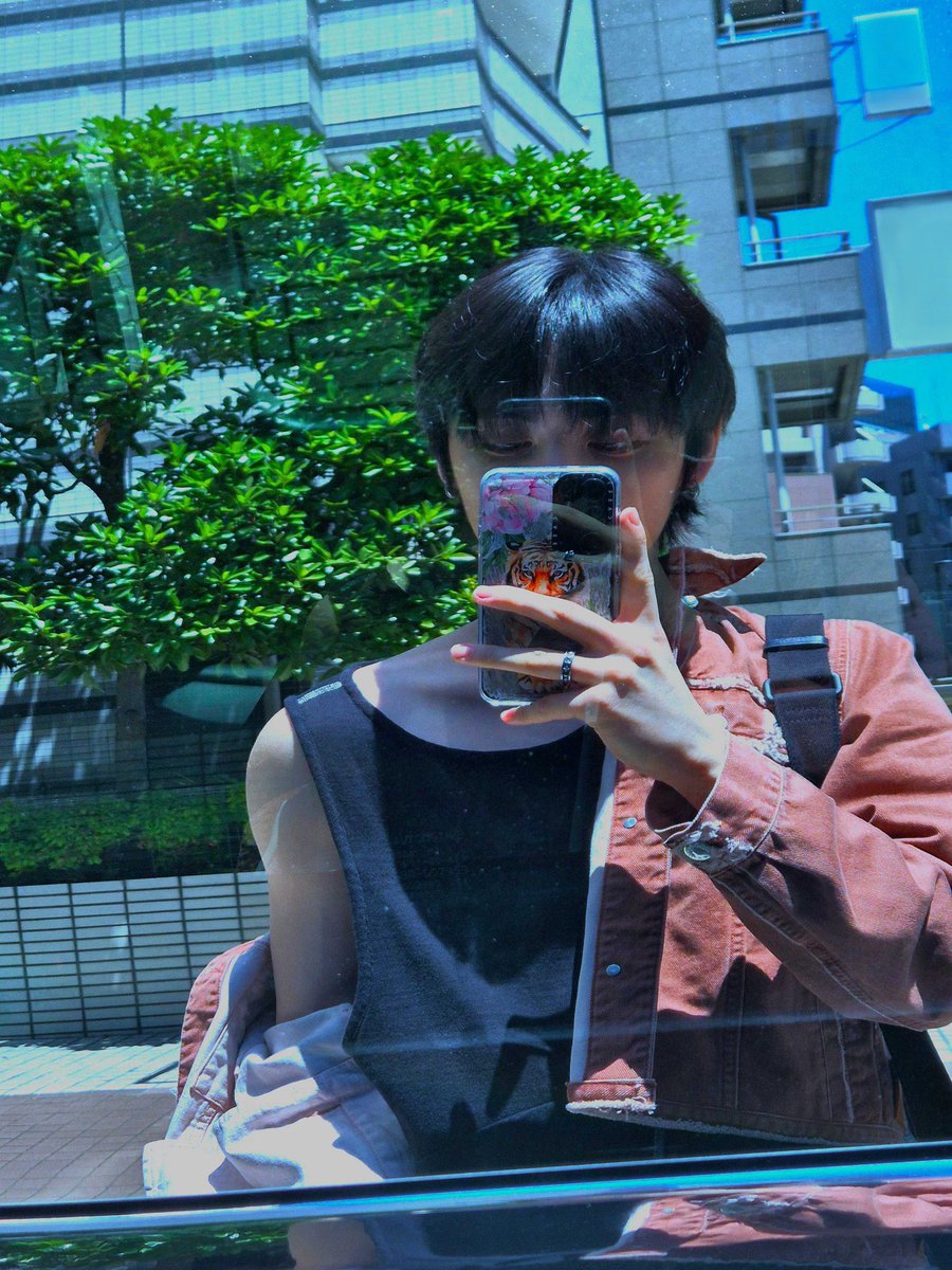 ⊹ tweet media