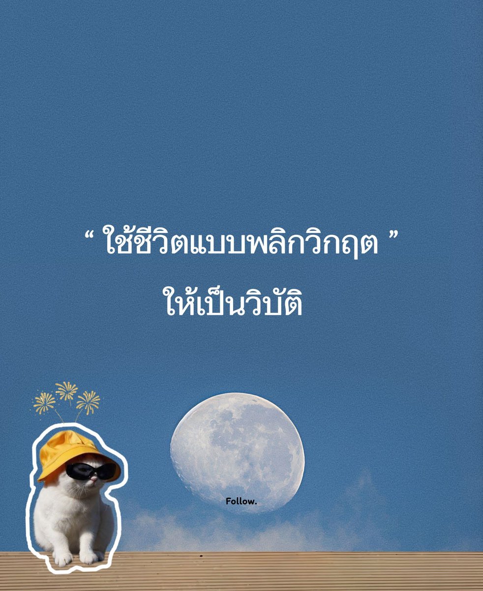 Great fun tweet media
