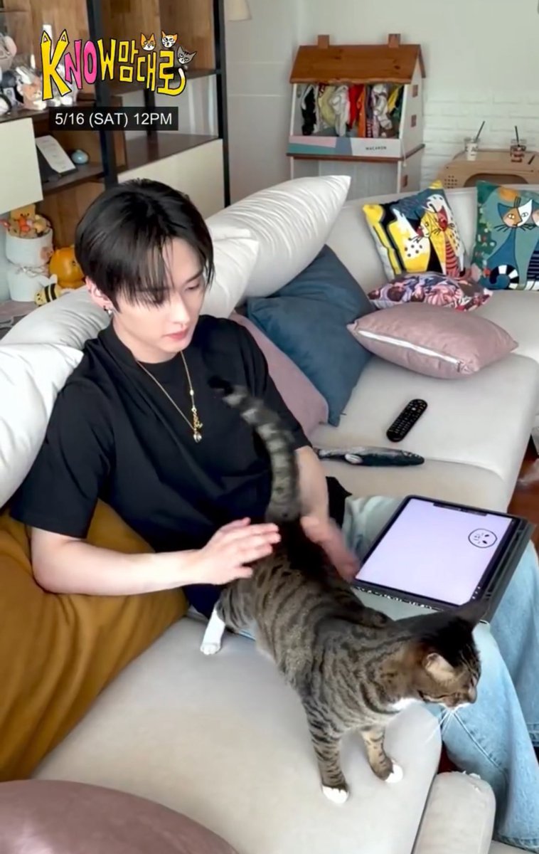 리노냥 🥢🍊 WSB 🩷💚 tweet media