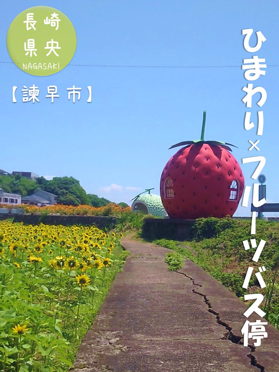 長崎県総合公式 tweet media