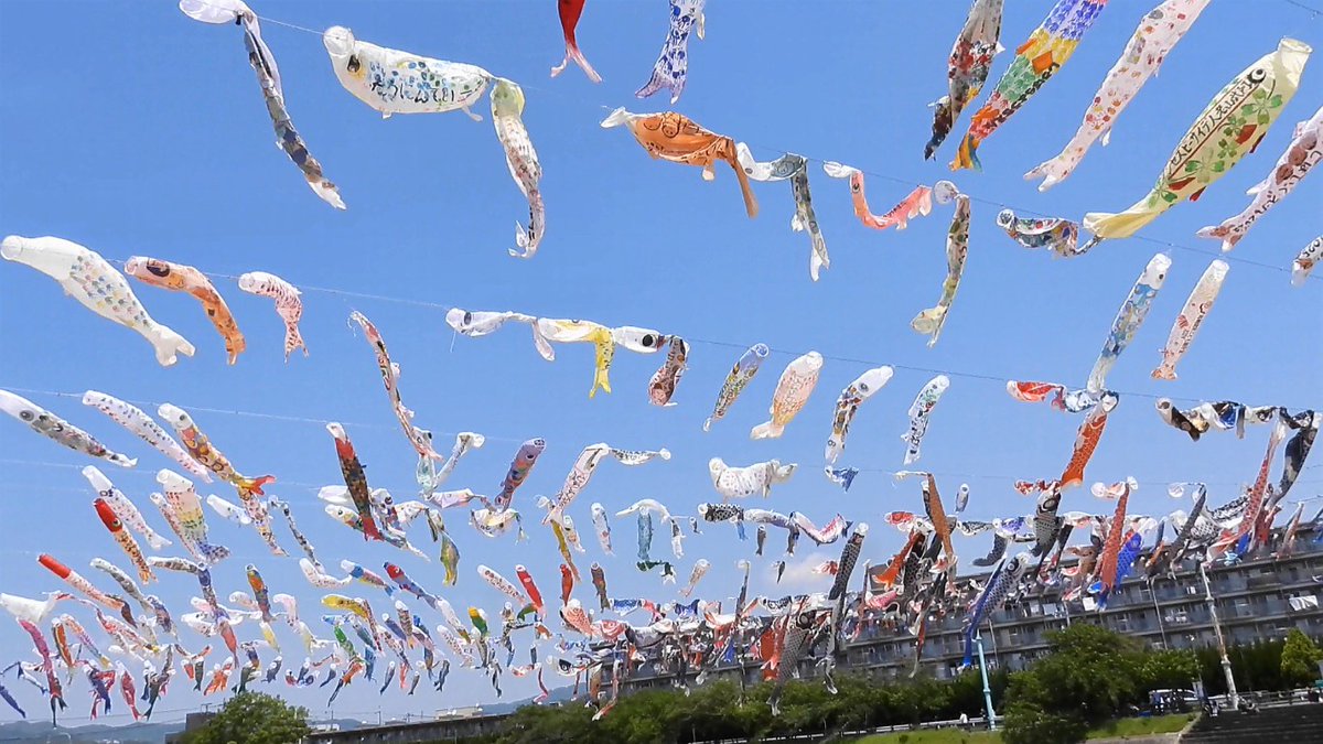 FUayusakai's tweet photo. 【2026】GWのお出かけに最高!高槻「こいのぼりフェスタ1000」が絶景すぎた【2026年5月2日】
https://t.co/PCrQiUQLmN
#こいのぼり #鯉のぼり #こいのぼりフェスタ #春の絶景 #GW #散歩動画 #Vlog #日本の風景 #癒し動画 #イベント
#Koinobori #Japan #JapanVlog #SpringInJapan #WalkingTour https://t.co/Zgz16Nz2hM