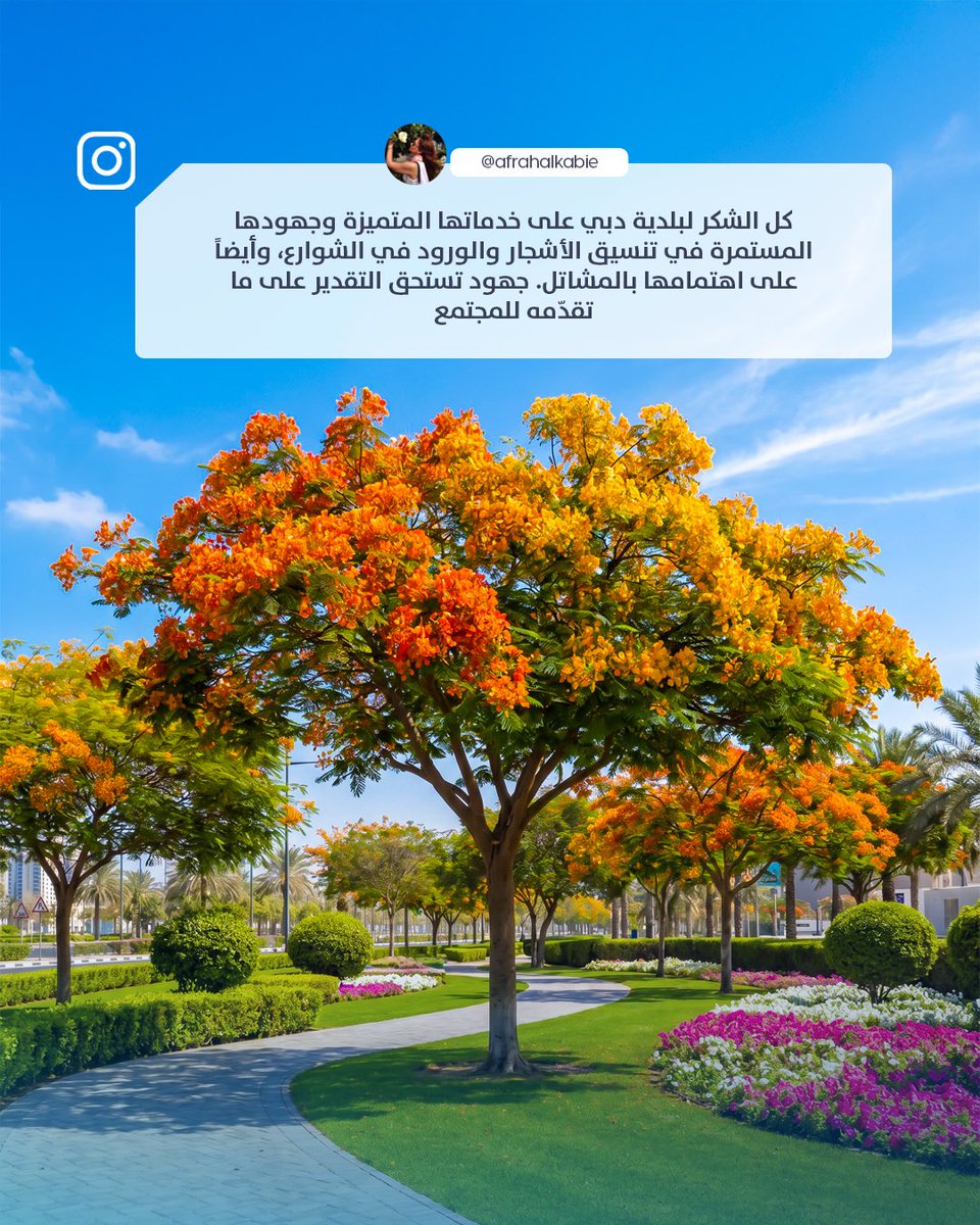 بلدية دبي | Dubai Municipality tweet media