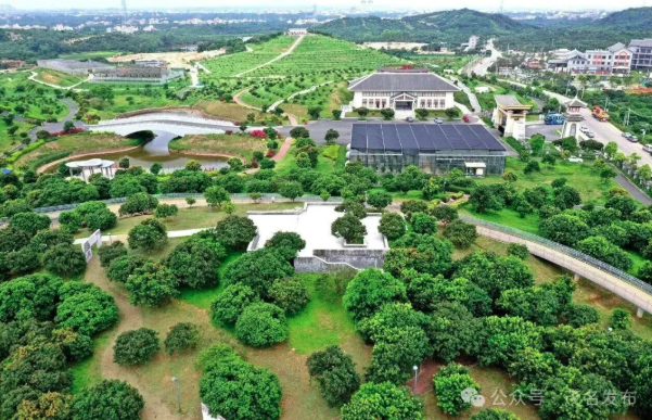 Meta Guangdong tweet media