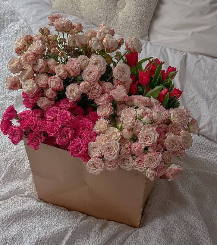 د. منال tweet media