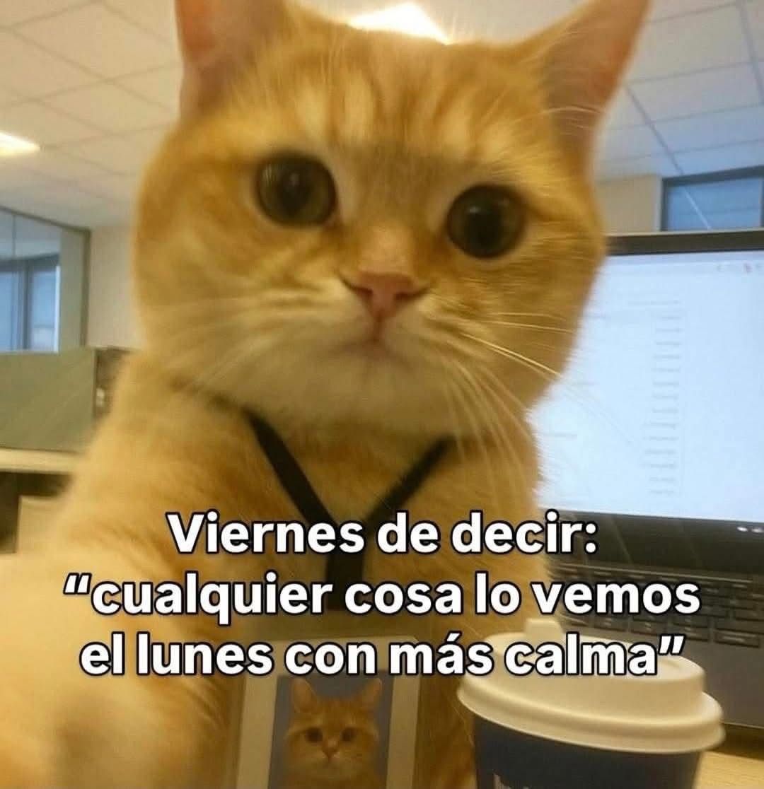 Carla tweet media