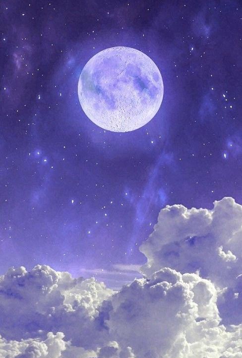 Moon Lovers tweet media
