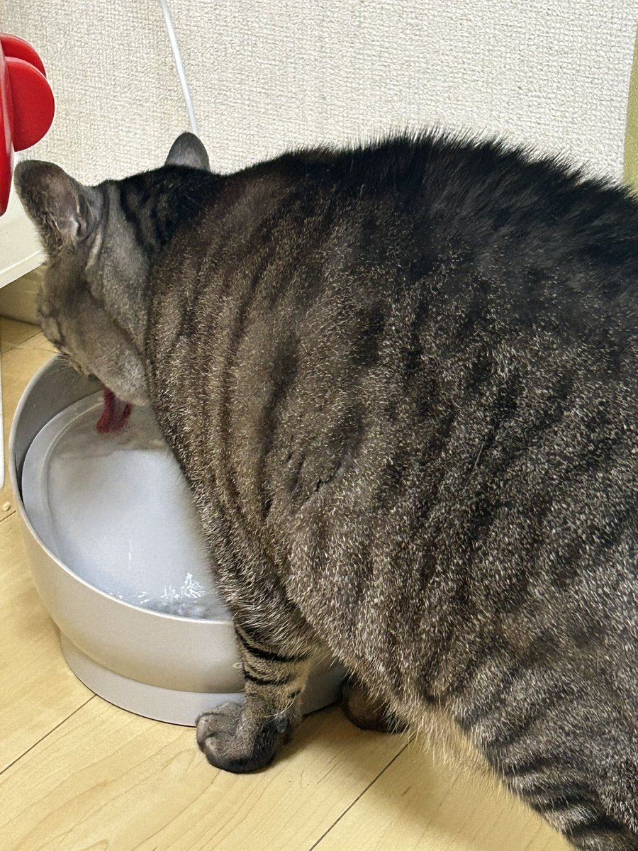 320_imo's tweet photo. 夕活 https://t.co/GzU7ktlKjl