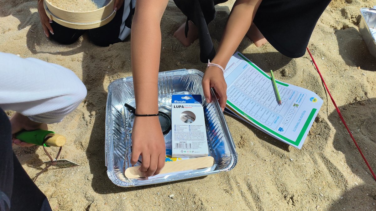 JFAmora's tweet photo. Alunos de Vale de Milhaços visitam Praia dos Pinheirinhos no âmbito do projeto Escola Azul https://t.co/NLkP71vULa https://t.co/jD2G38eWg0