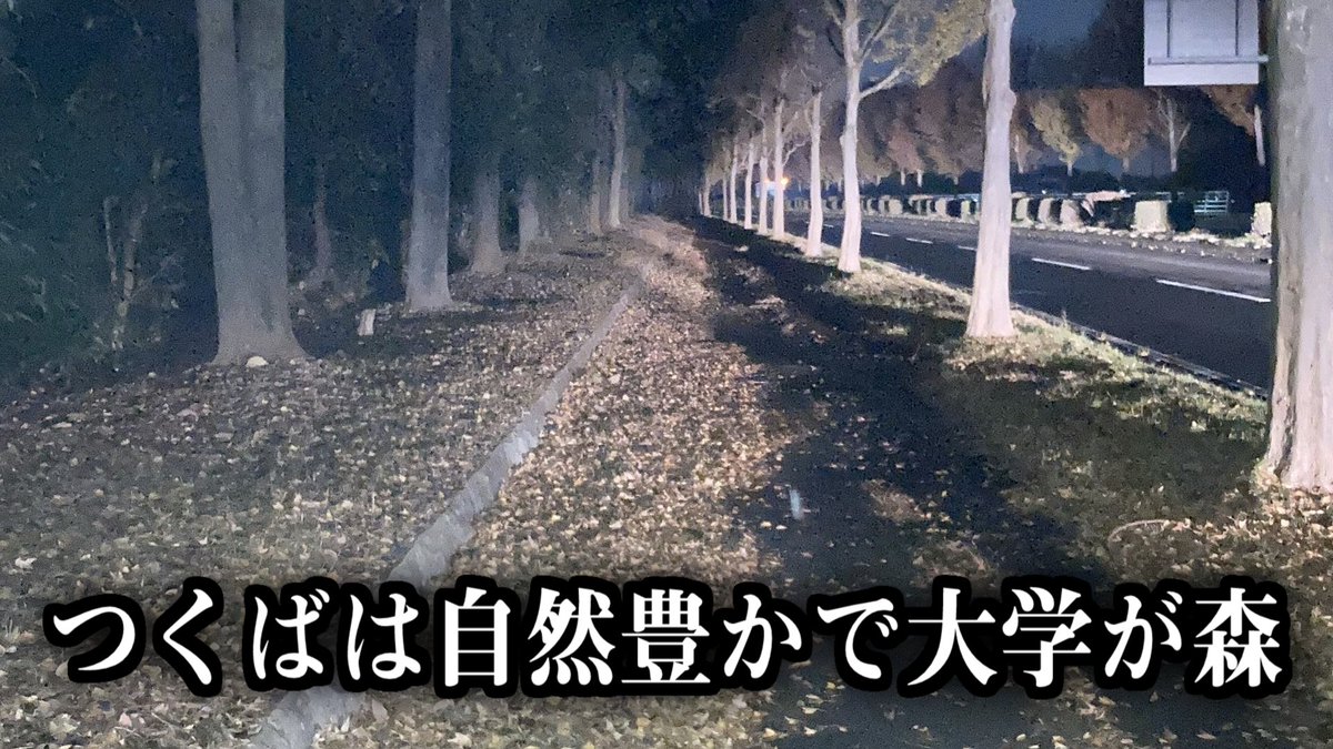 空華ル一クス/つくぶい! 𢦉 tweet media