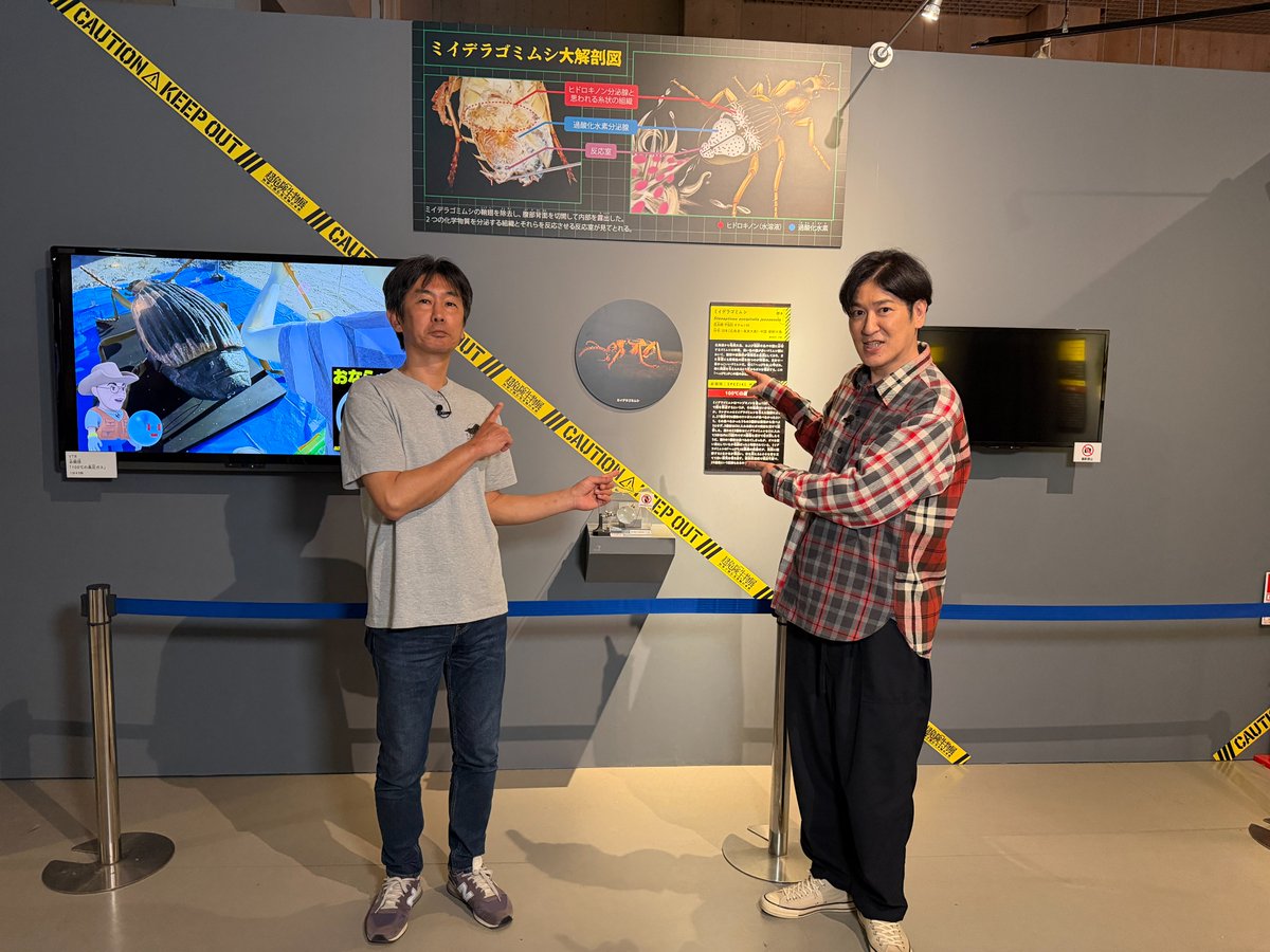 Academi_Night's tweet photo. 次回 #アカデミーナイトG
5月19日(火)深夜25:56〜🌟

1️⃣大ヒット上映中!映画『 #君のクイズ 』
主演 #中村倫也 が撮影舞台裏＆おすすめシーンについてさらに熱く語る����✨

2️⃣ 特別展「 #超危険生物展　科学で挑む生き物の本気 」
#ココリコ田中 ＆ #男性ブランコ がさらなる危険生物の必殺技に大興奮😤 https://t.co/xhry0hQEk2