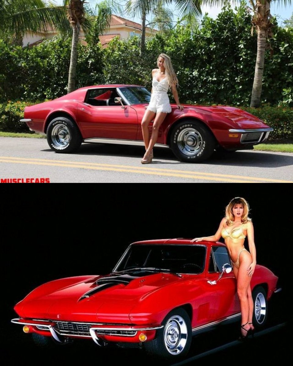 Vintage Cars Collection tweet media