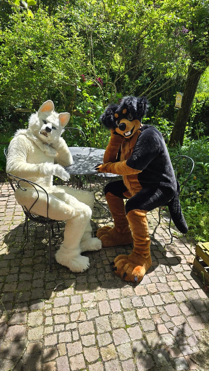 Manchu_Wolf's tweet photo. Happy #FursuitFriday  
I wish a good weekend🥰
With this cute doggo😍

🐺 @Manchu_Wolf
✂️ @crafts_from
✂️@skipp_wolf
🐾 @Doggy_Bronco
📷 @DaddyKarl1973
🗓11.05.2025
🏙 #Königheim -Gissigheim
 #Fursuit #Wolf #furry #Rottweiler https://t.co/HH8a5gk2iQ