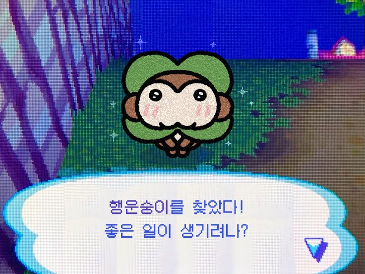 오얼모얼 tweet media